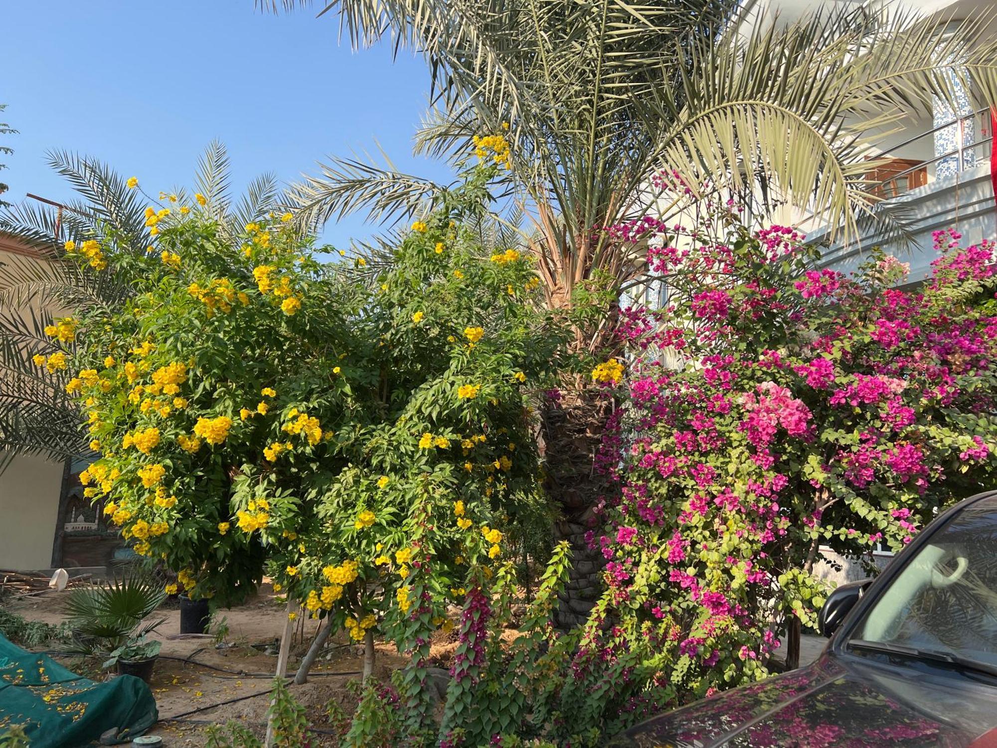 Alhosani Property Abú Dhabí Exteriér fotografie